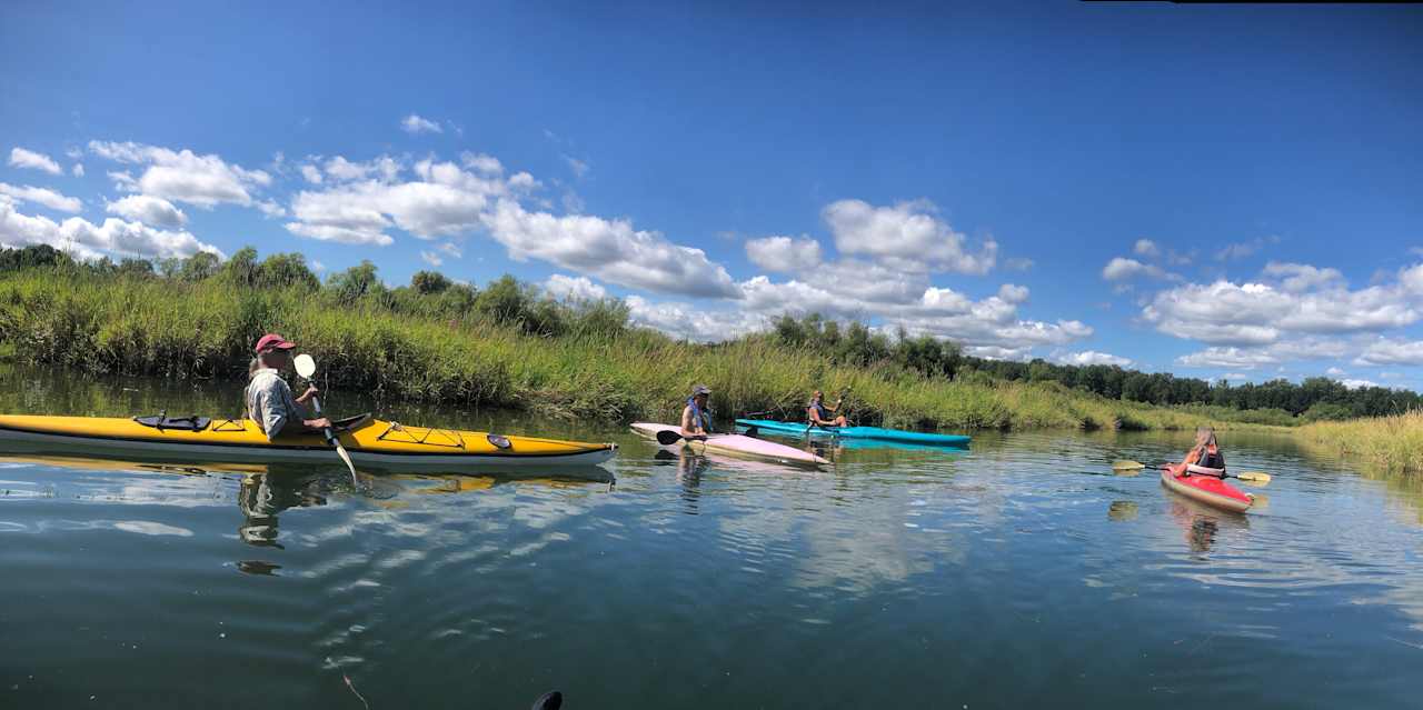 There are wonderful places to explore on a kayak or paddle board.  