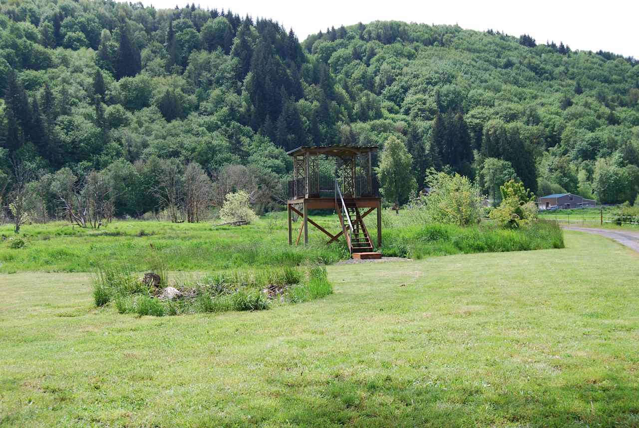 The view station overlooks the wetlands.  During winter months many types of waterfowl reside here and can be seen from the viewing station.