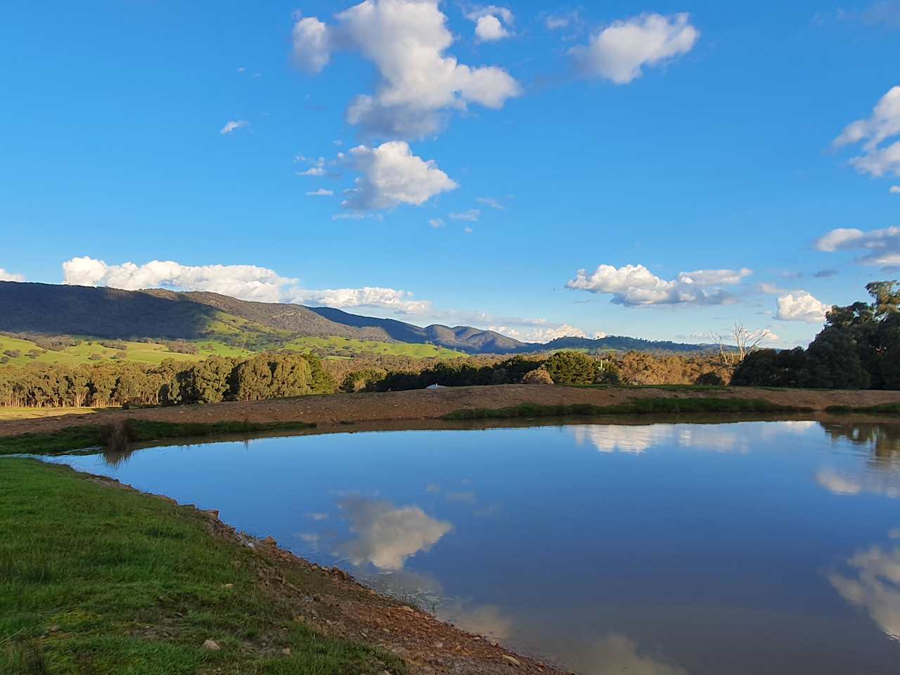 Eden Pines Farm