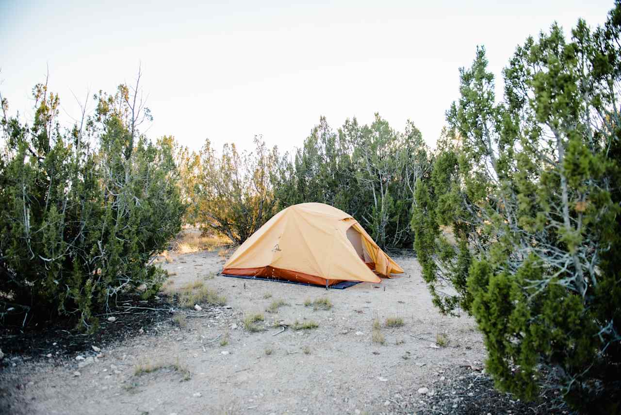 Pinon Forest Camp