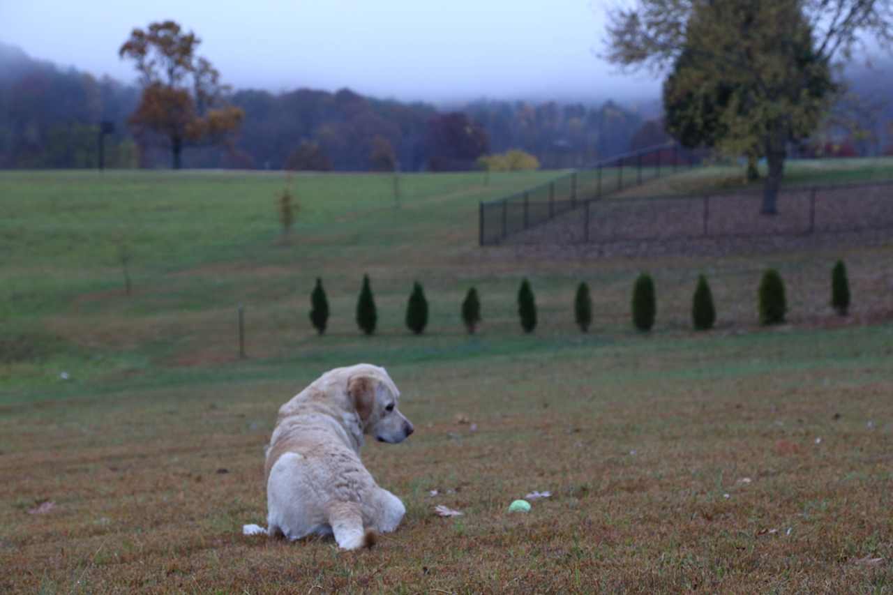 Hiker's Rest at Hickory Hollow