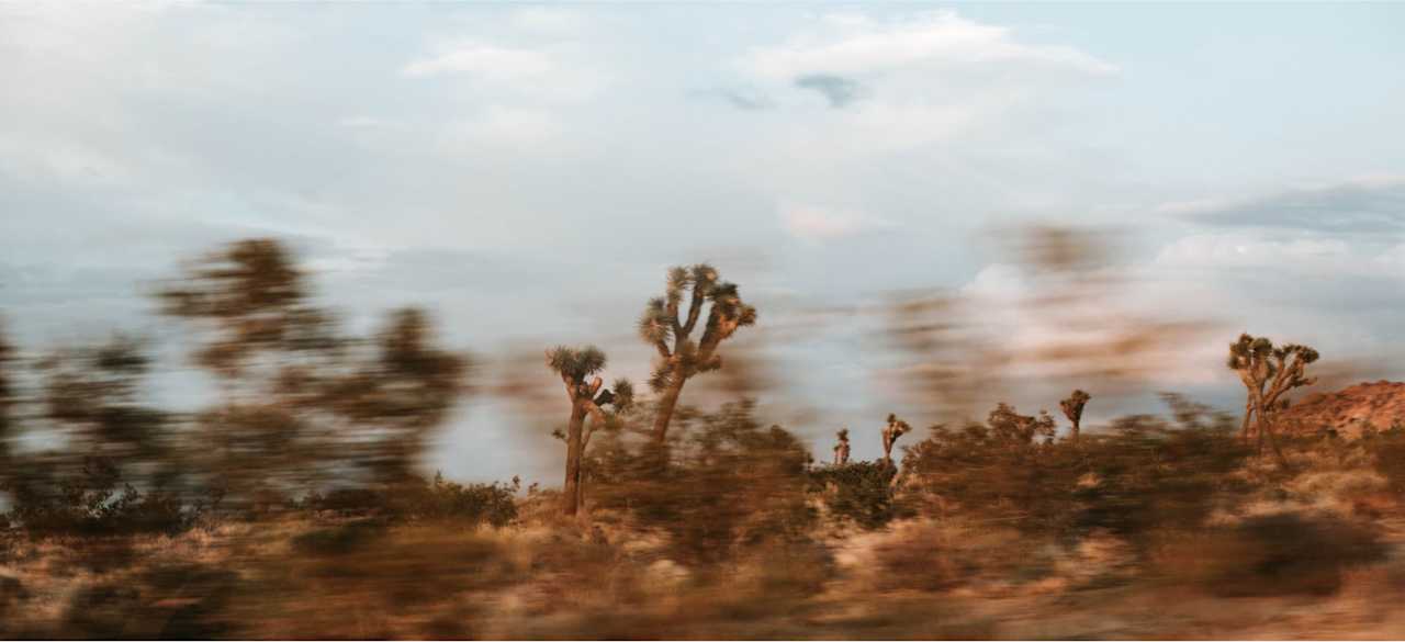 Joshua Tree Basecamp