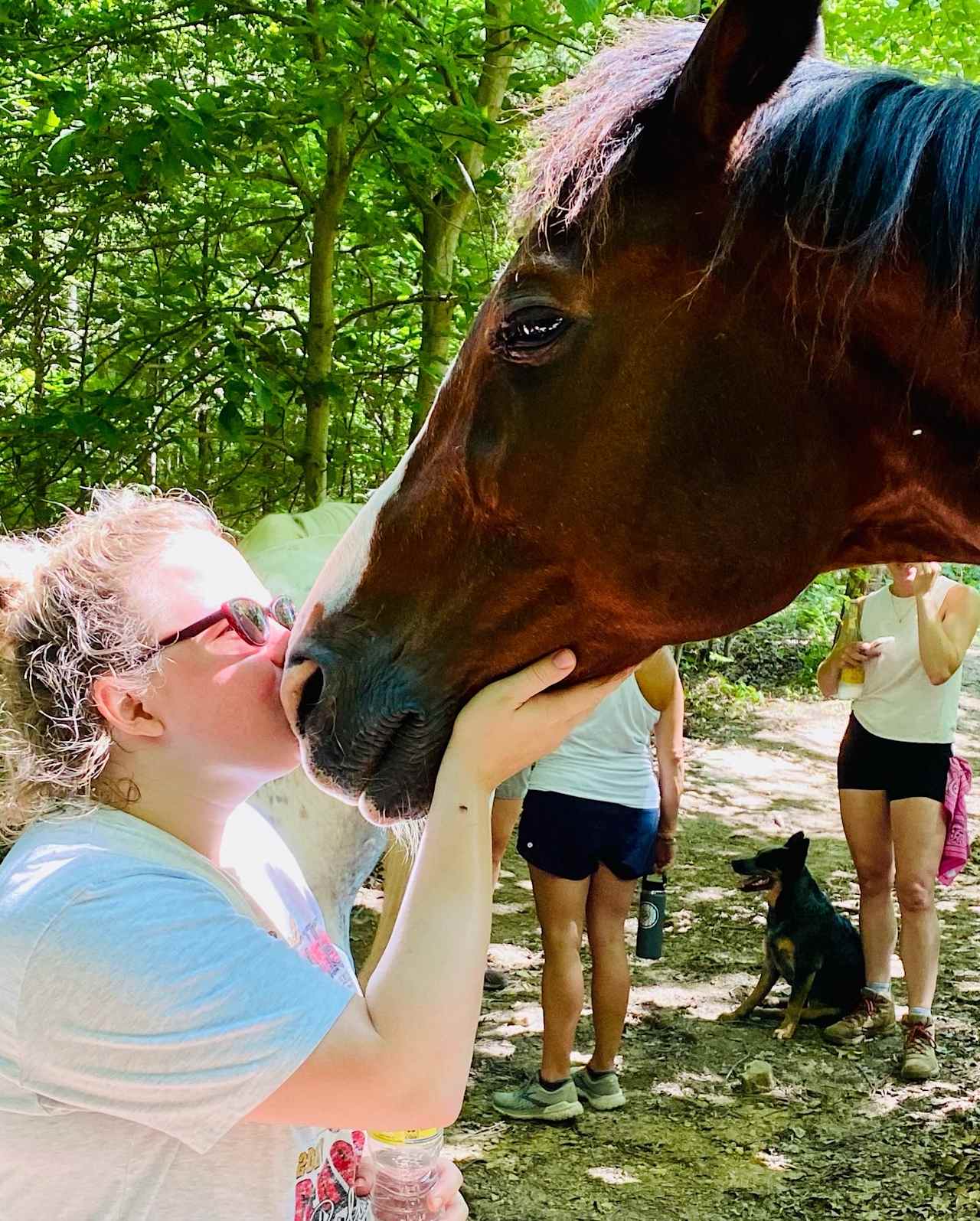 Horse Heaven in Culleoka, TN