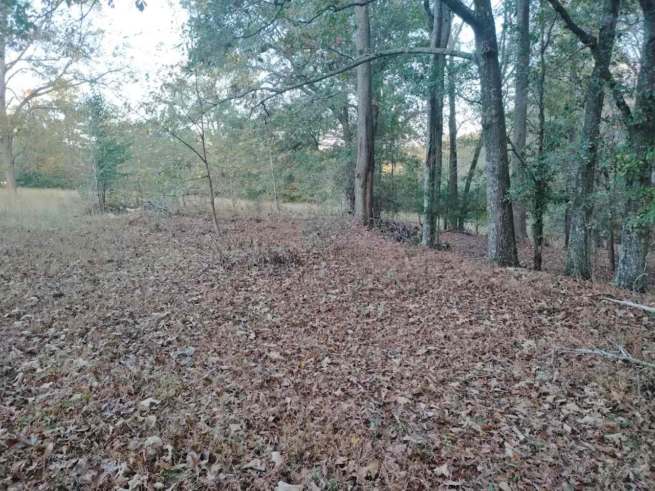 The Boondocks at Kudzu Farms