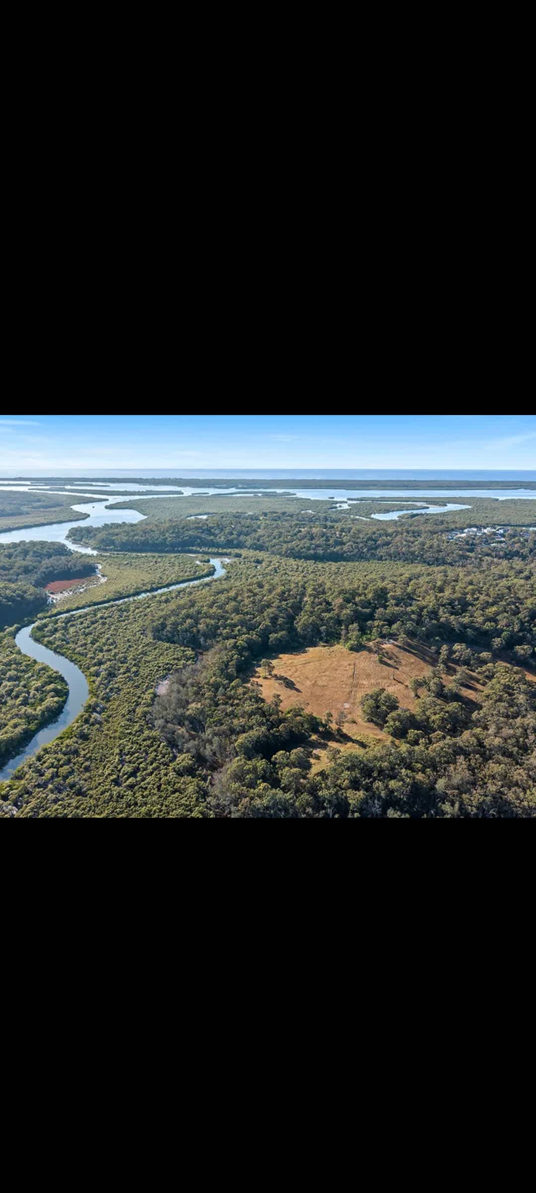 McCoy's River Views