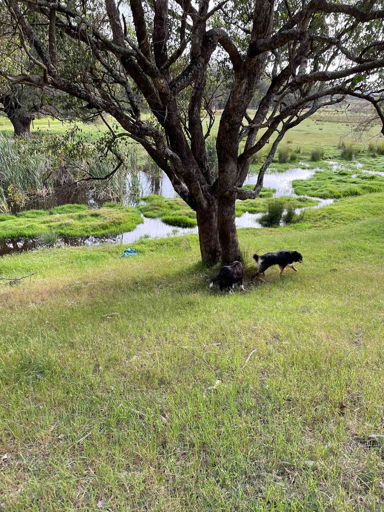 Killarney Farm