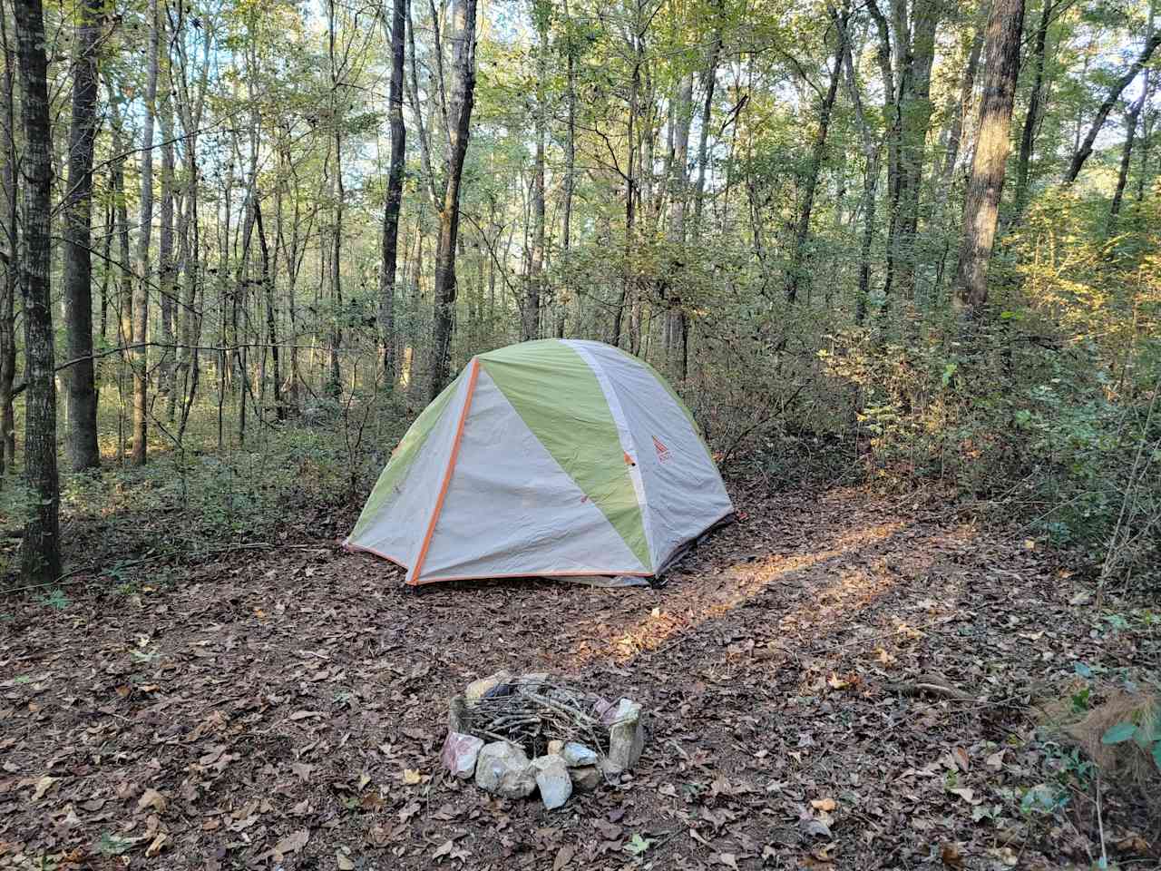 Single tent site (#1).