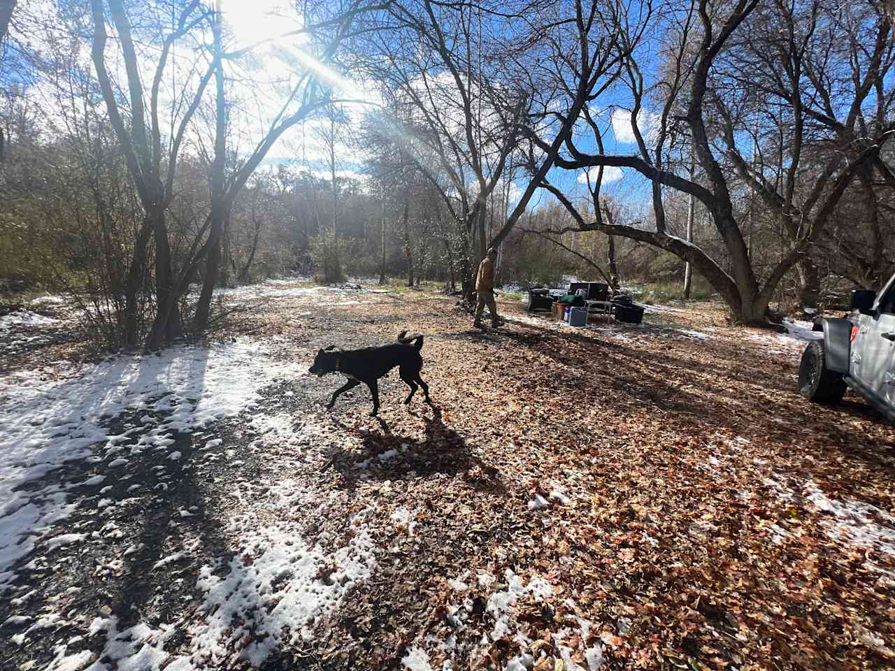 Secluded Maple Creek River bottoms