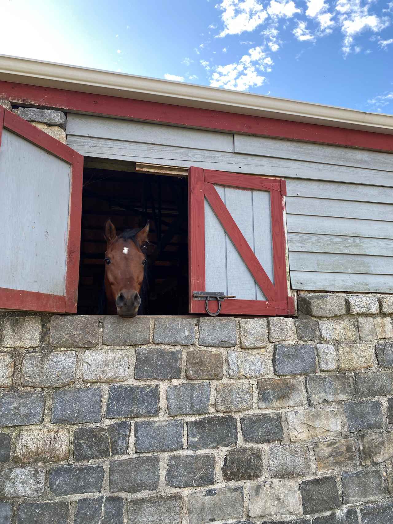 Thunder, the horse 