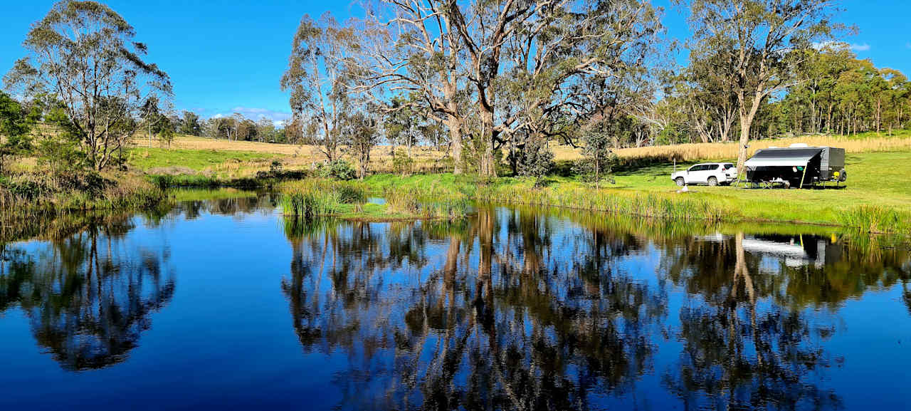 Redgum Site (Site 7)