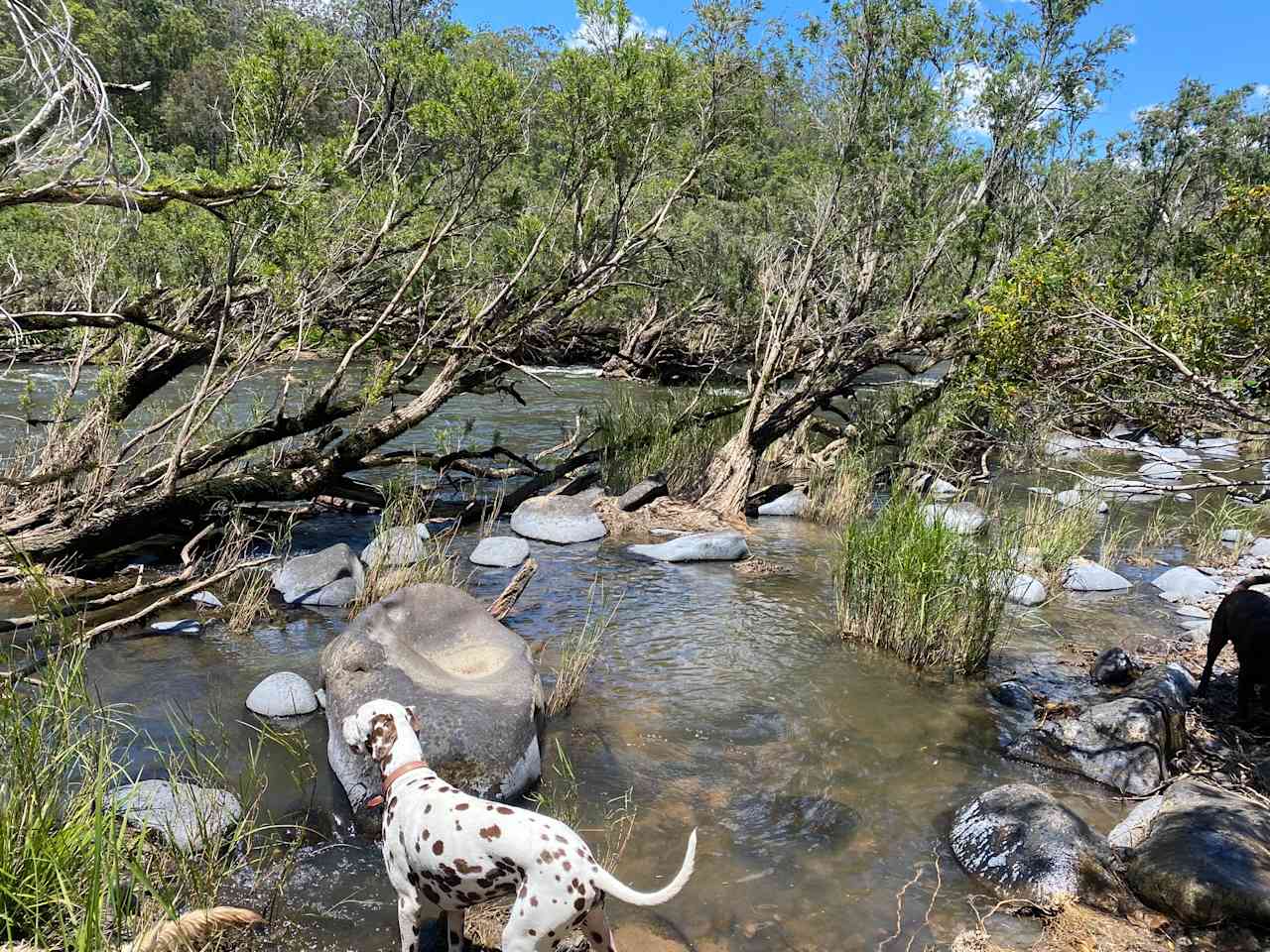 On the Clarence Camping