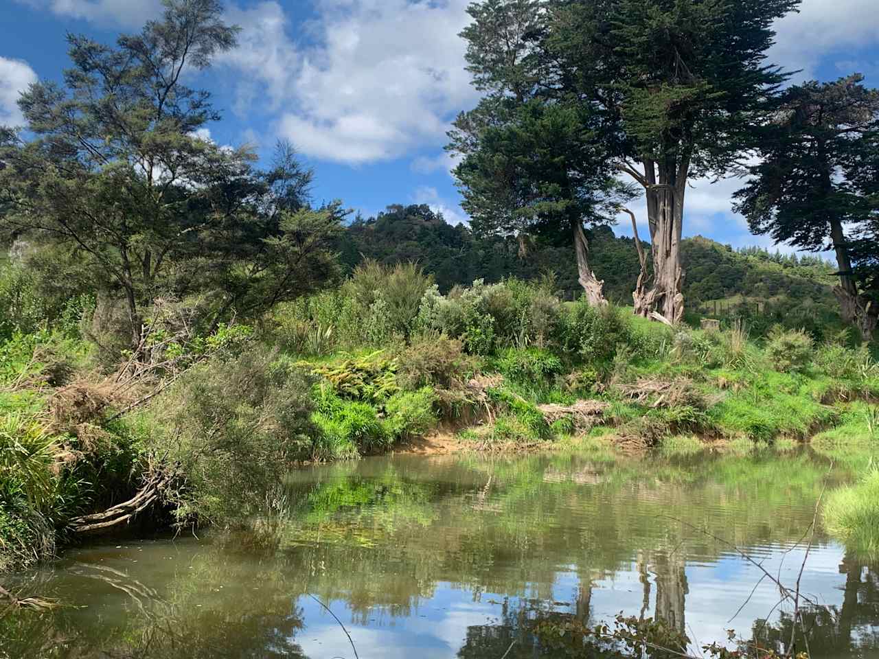 Puhoi cottage tearooms