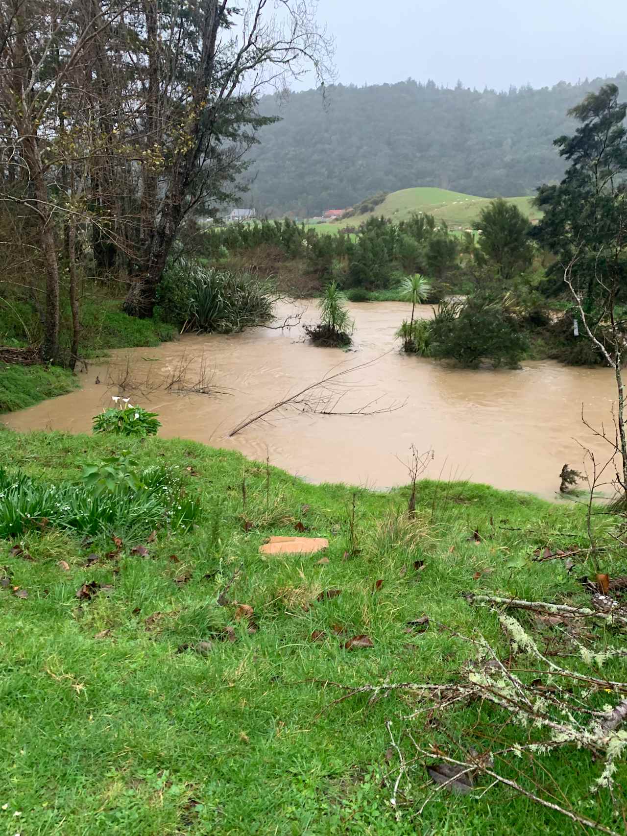 Puhoi cottage tearooms