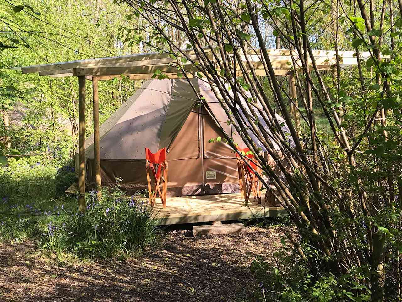 Woodland bell tent