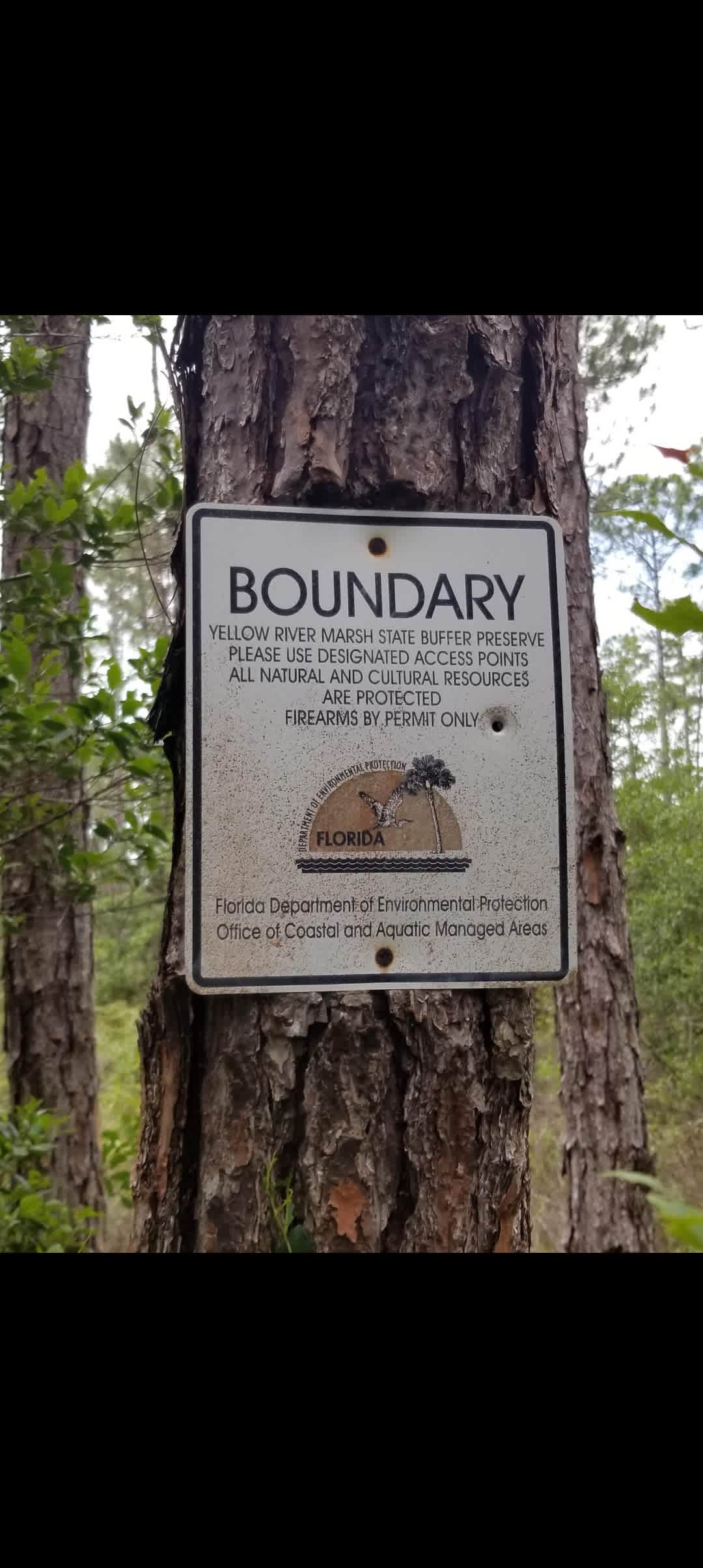 We are backed up to yellowwater Creek Preserve