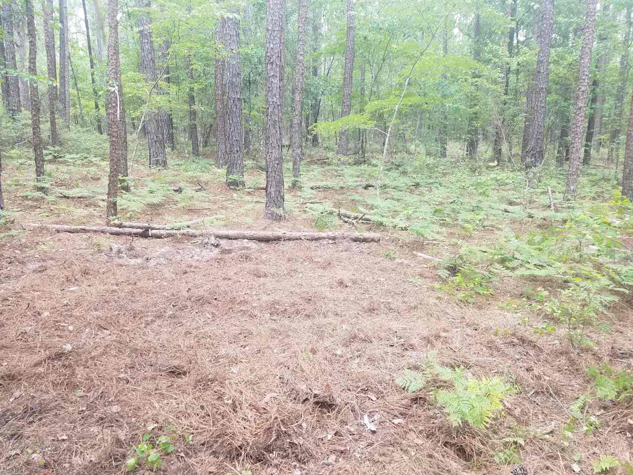 Leveled tent site