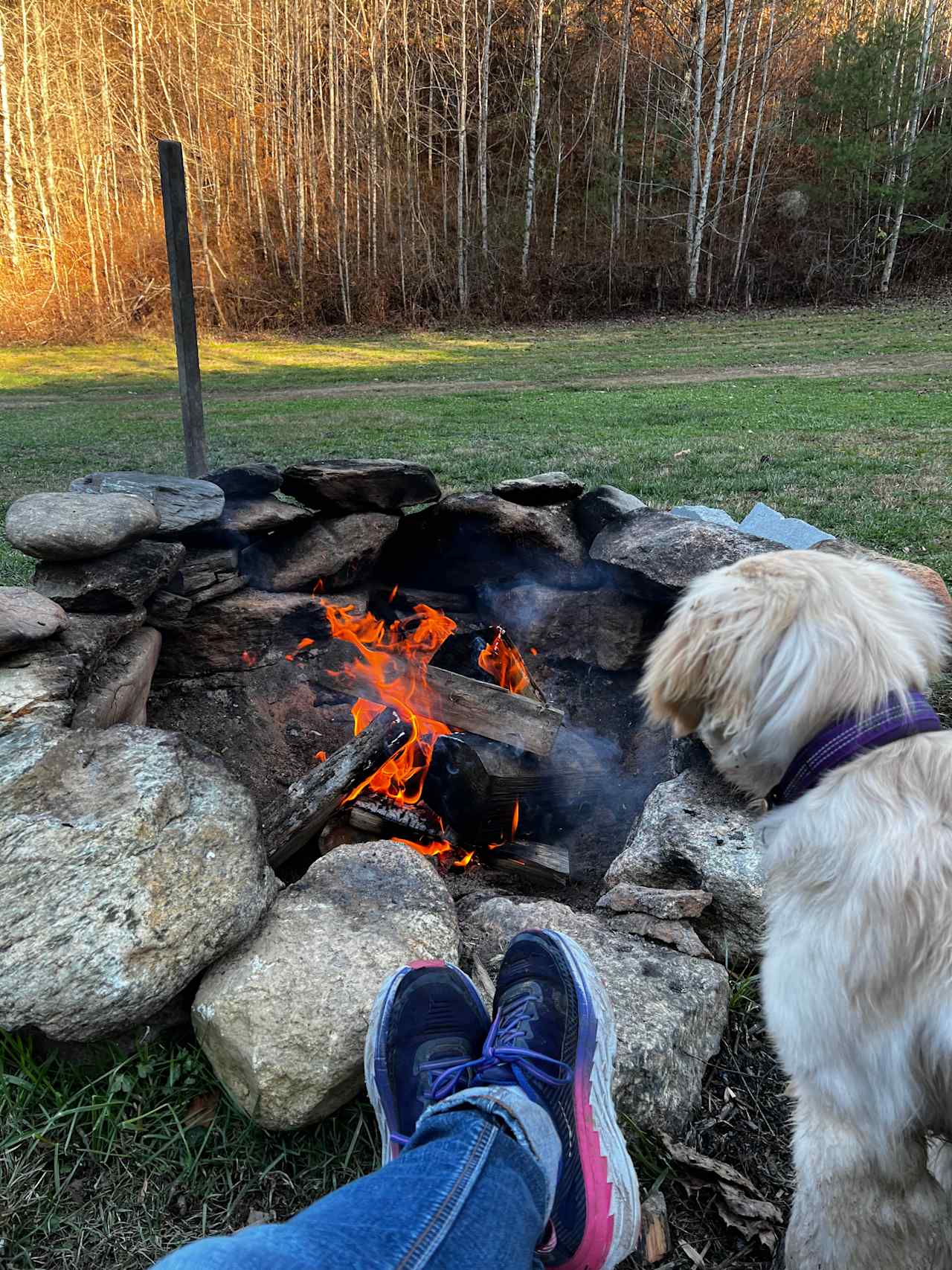 Great campfire pits. The diesel-soaked starter wood was a helpful surprise.