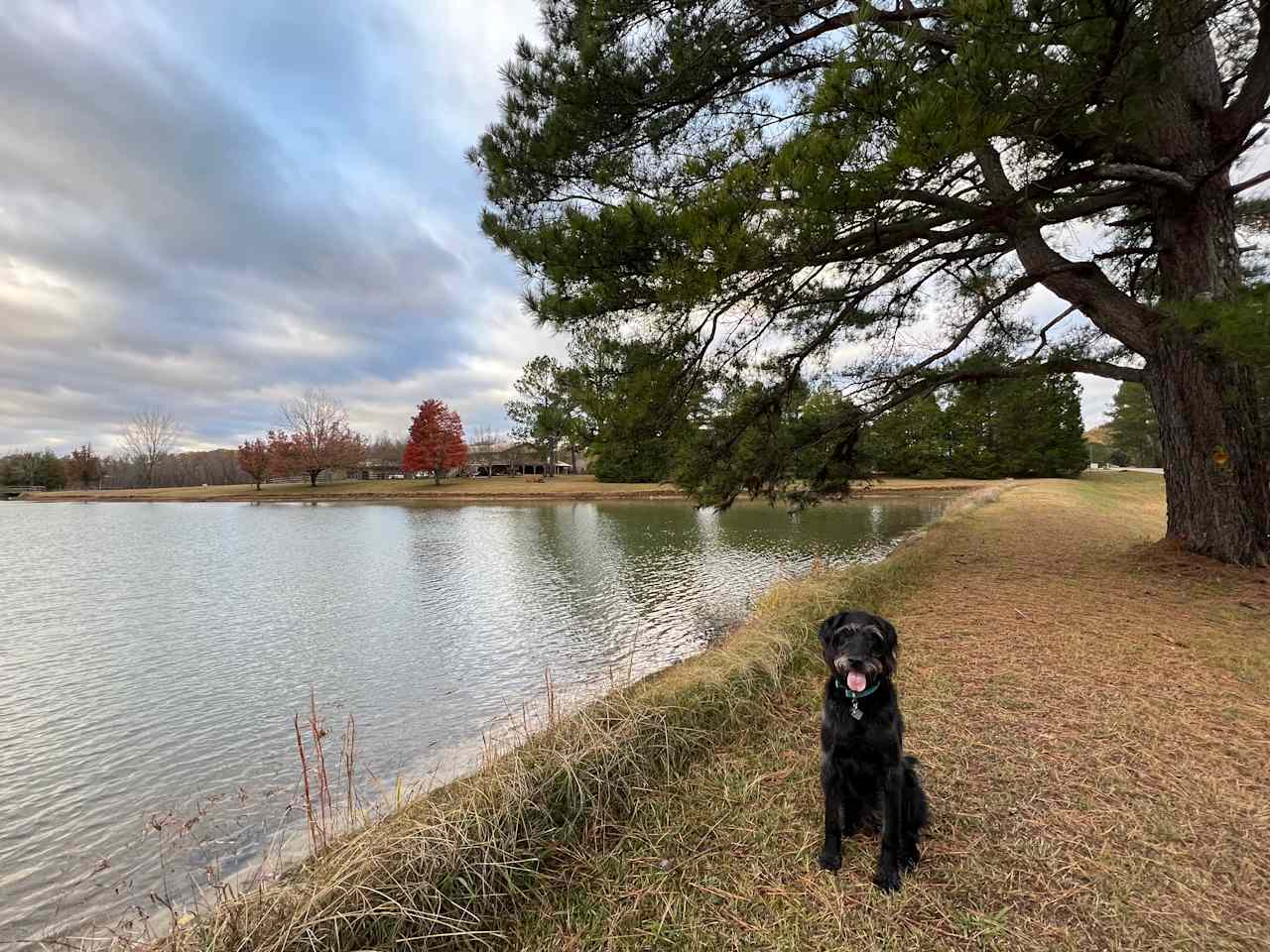 Moon Lake Farm - Camp, Fish, Relax