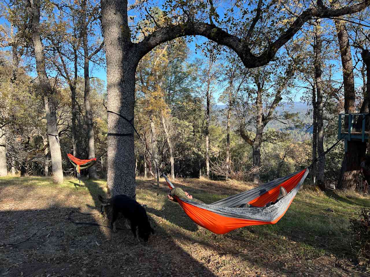 Sierra Mountain Tranquility