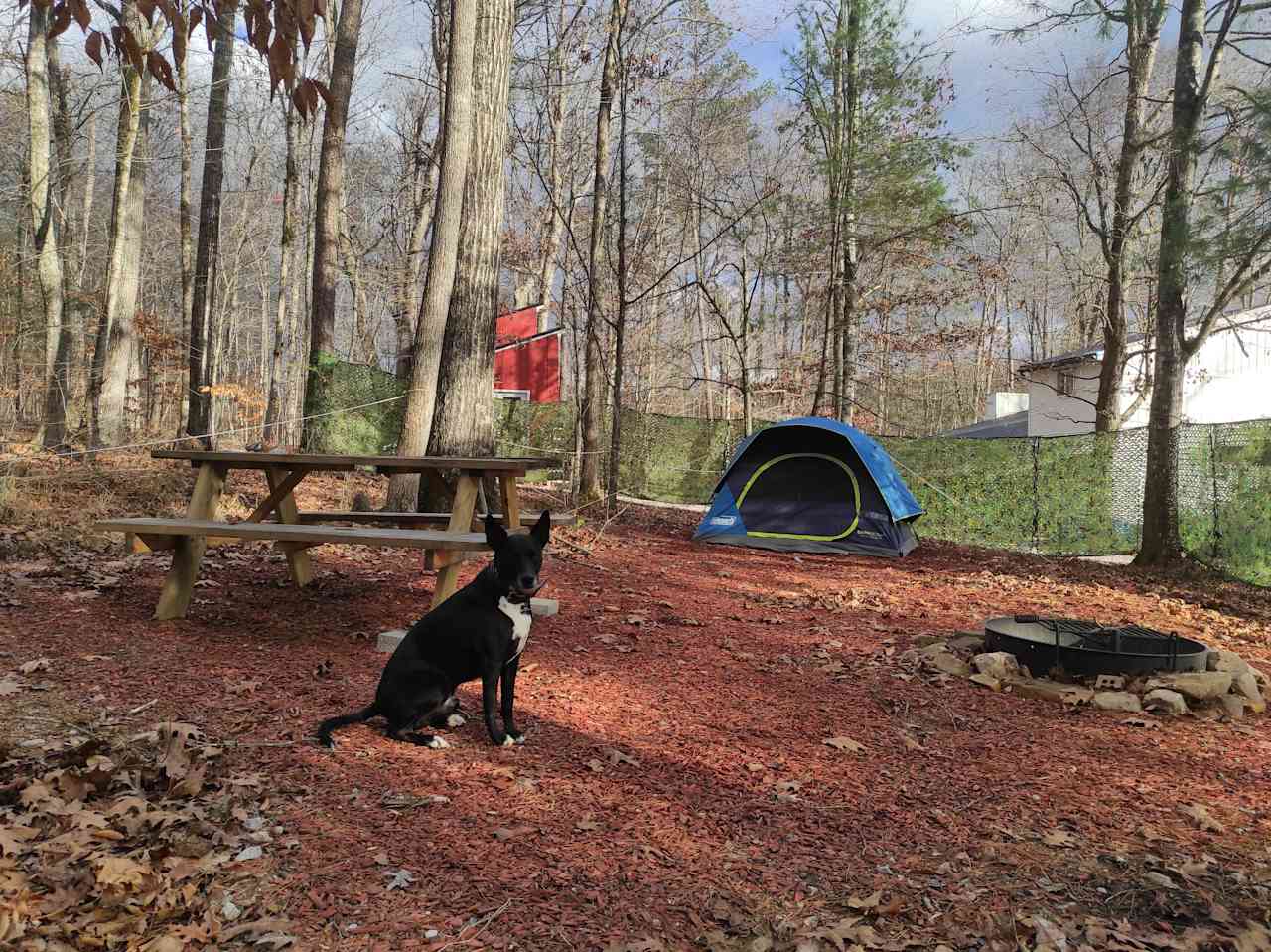 Shiloh @ Watts Bar Tent Campsite