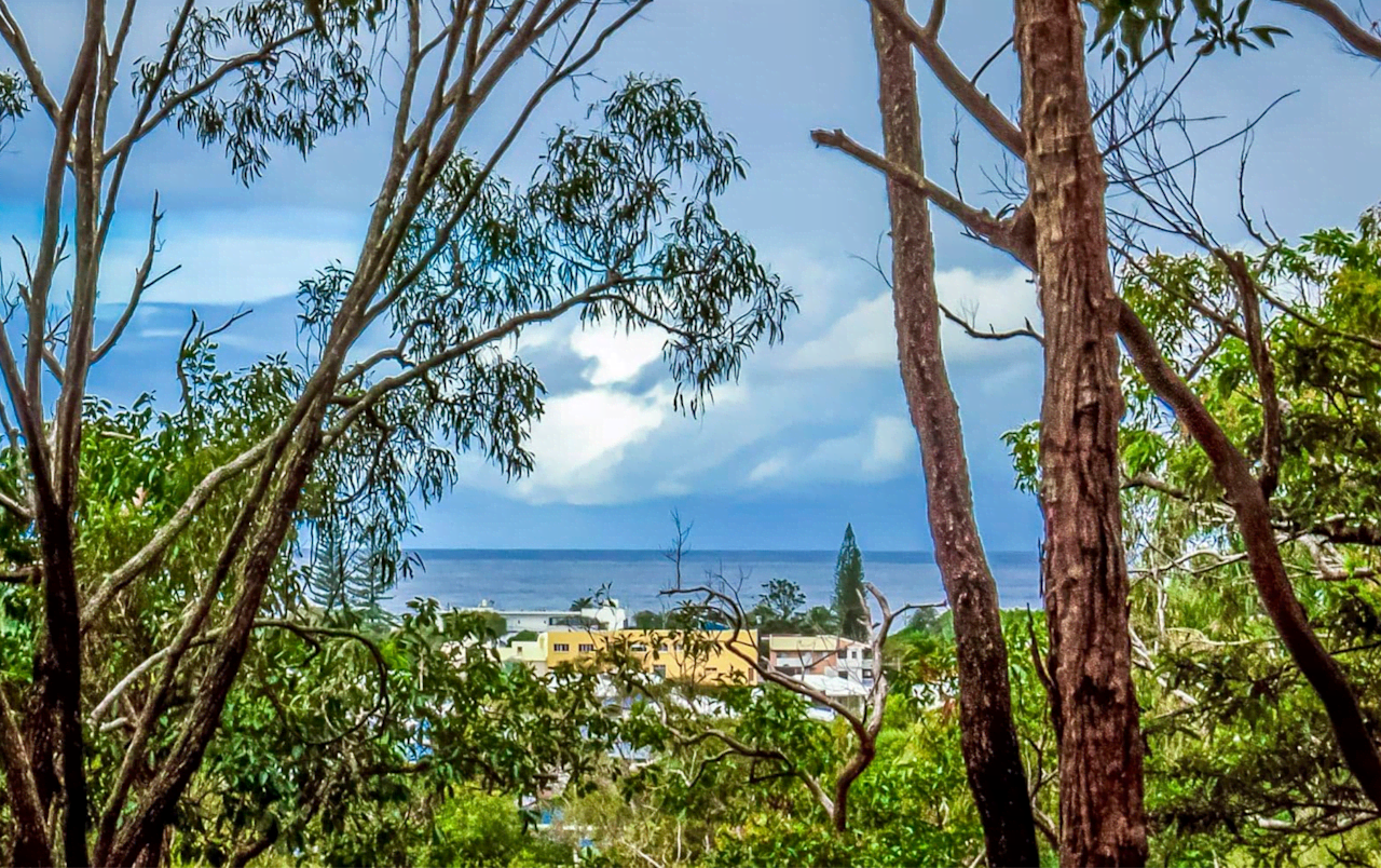 Actual view from the water tower slab 