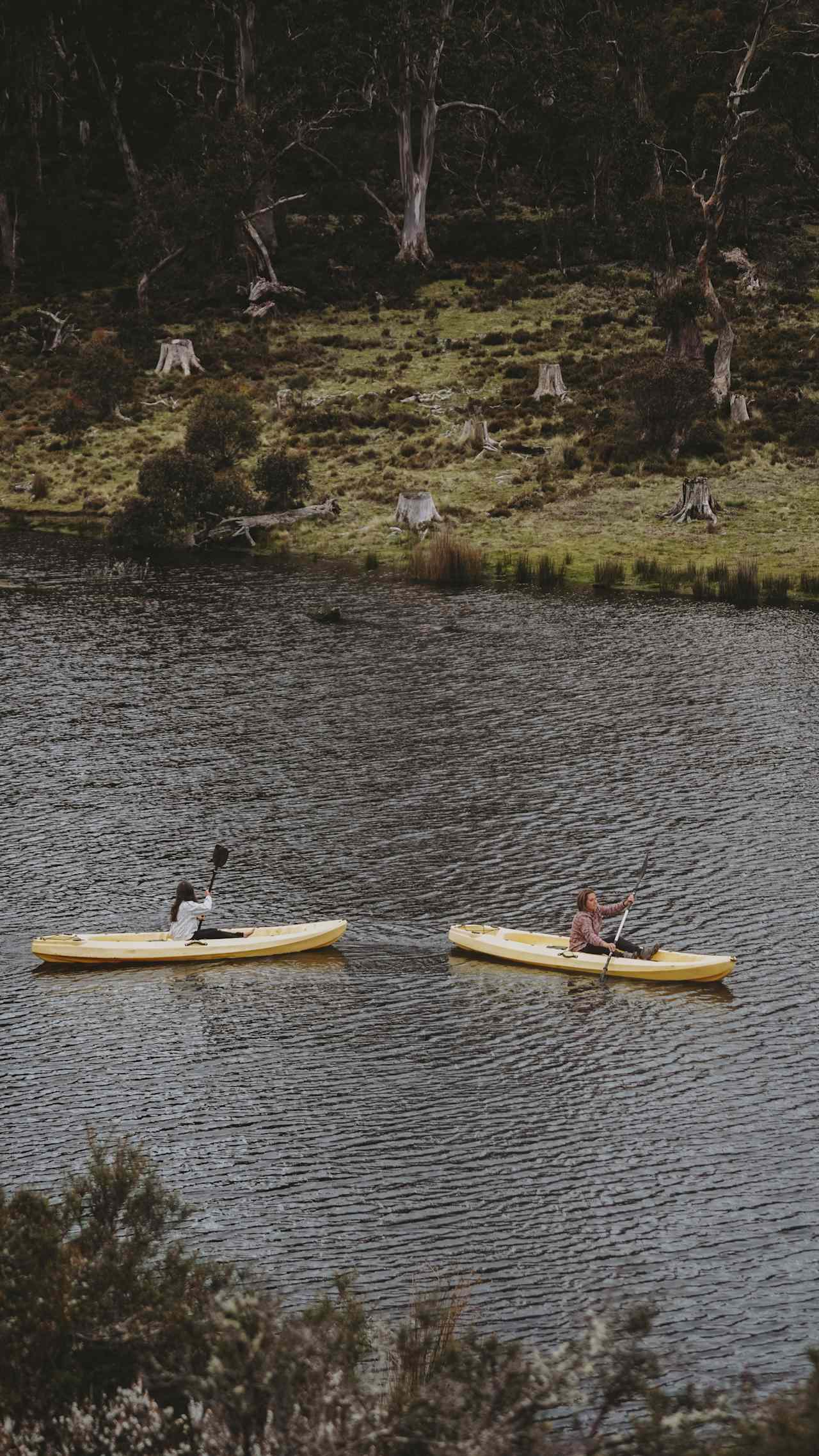 Cradle Mountain Fishery and Camping