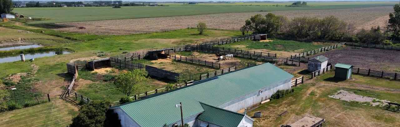 Boarding Paddocks