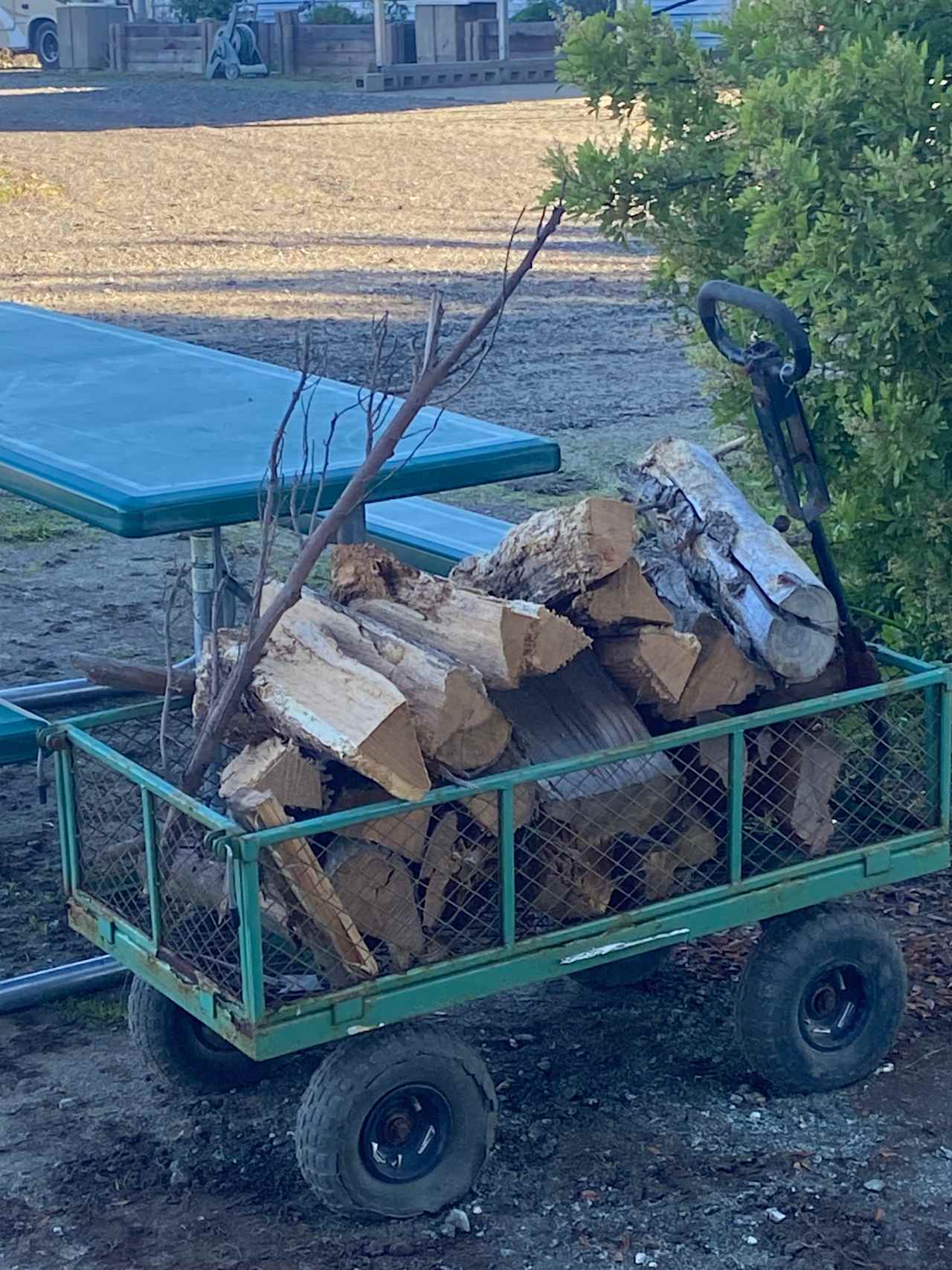 Free firewood