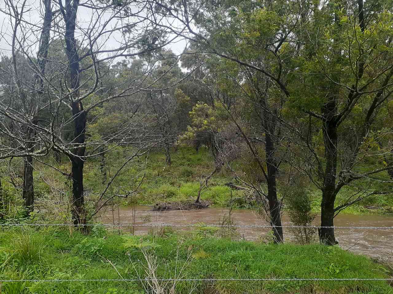River flows right next to the orchid campground