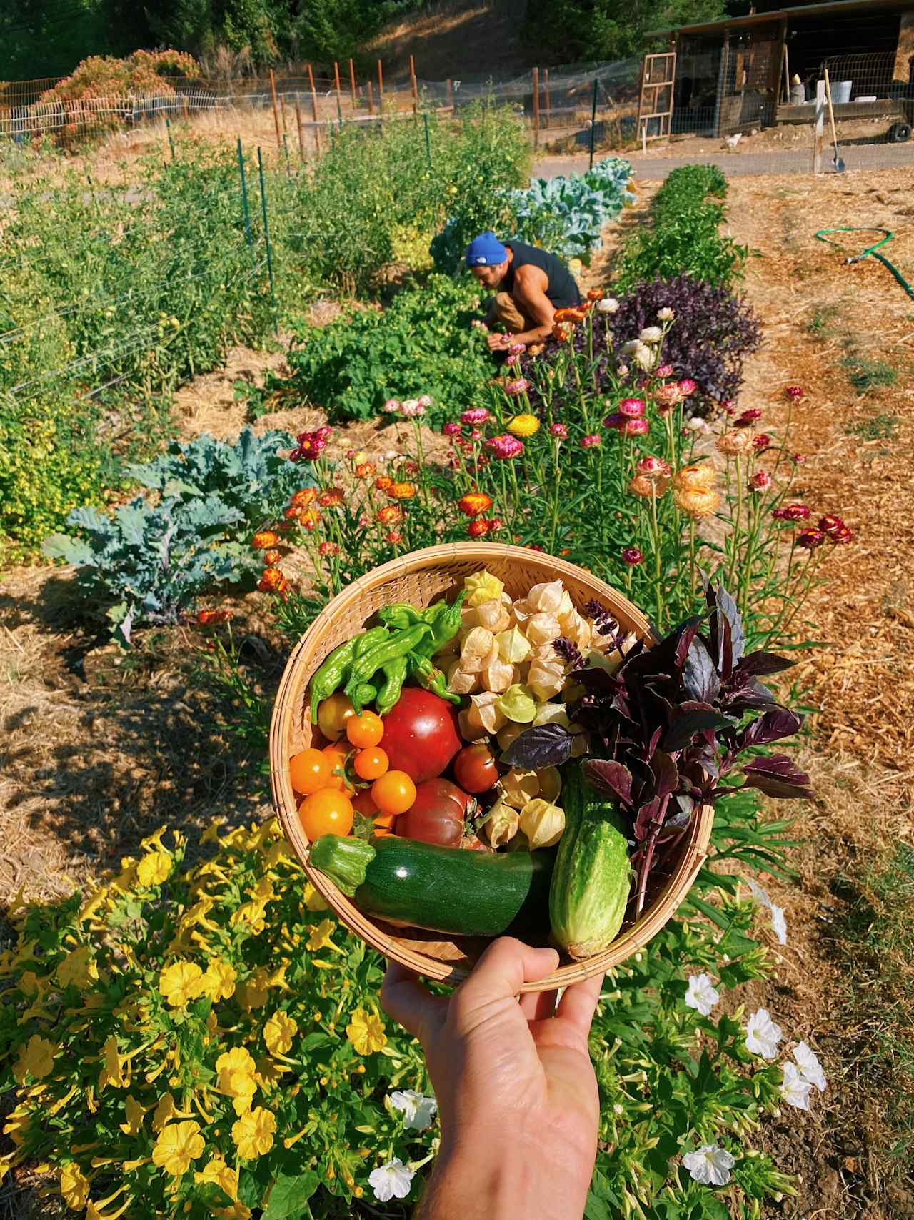 Farm bounty