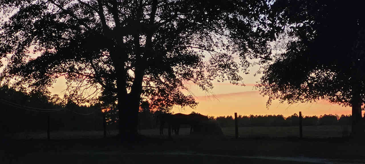 sunset from campsite
