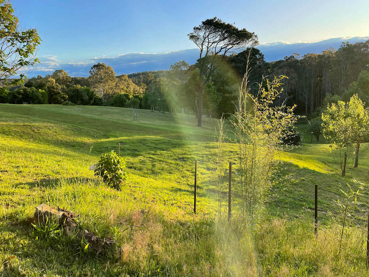 Nello Campsite