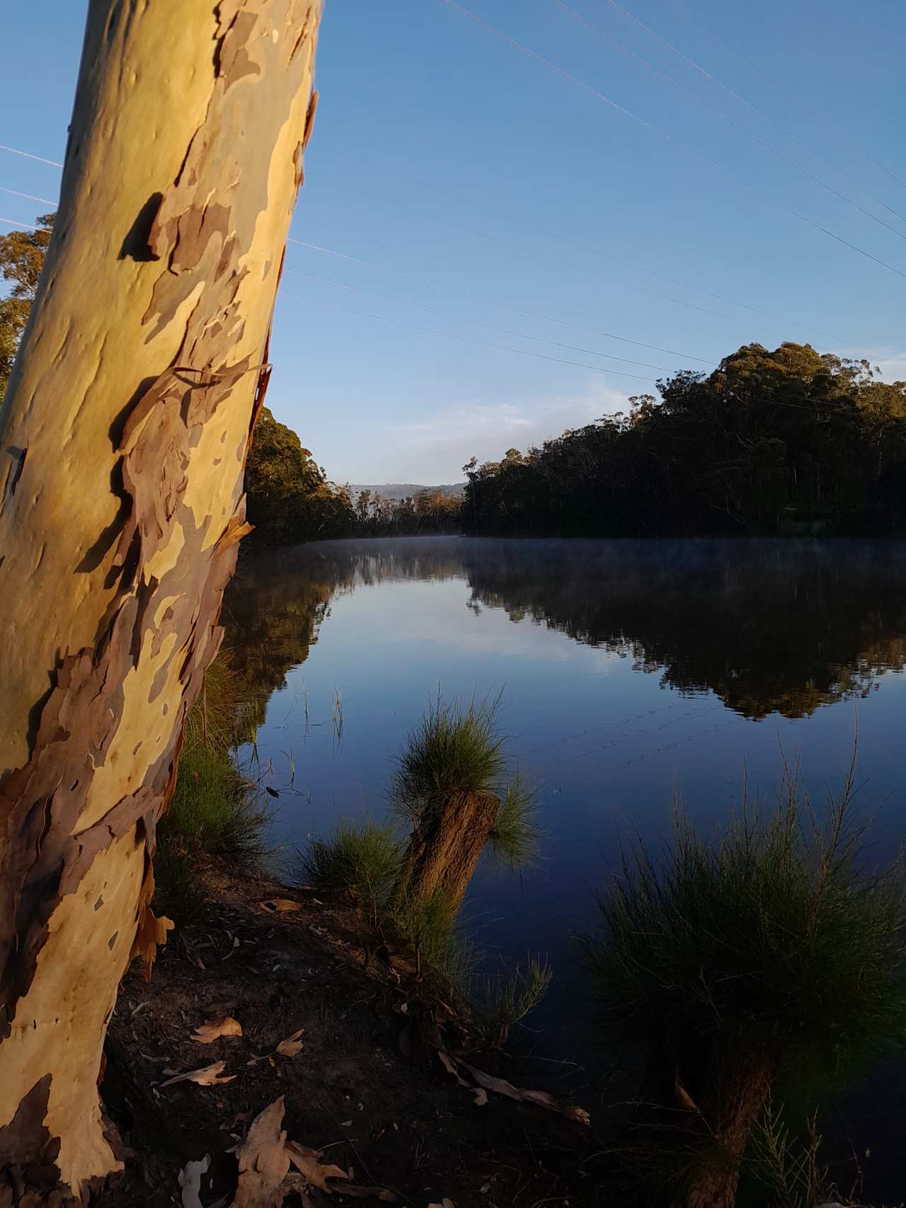 Babbling Brook 4WD Camping