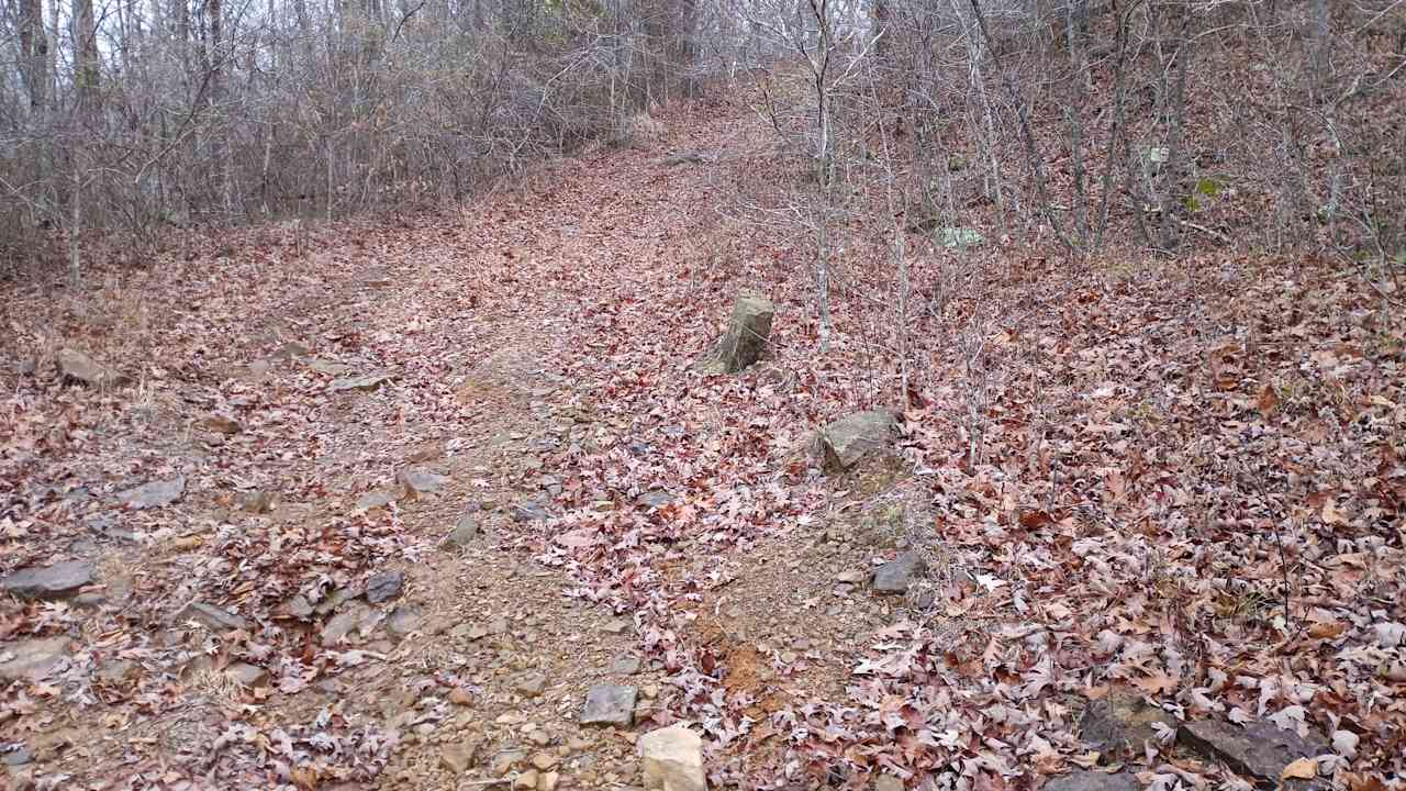 View from the site up the road. It is very steep.