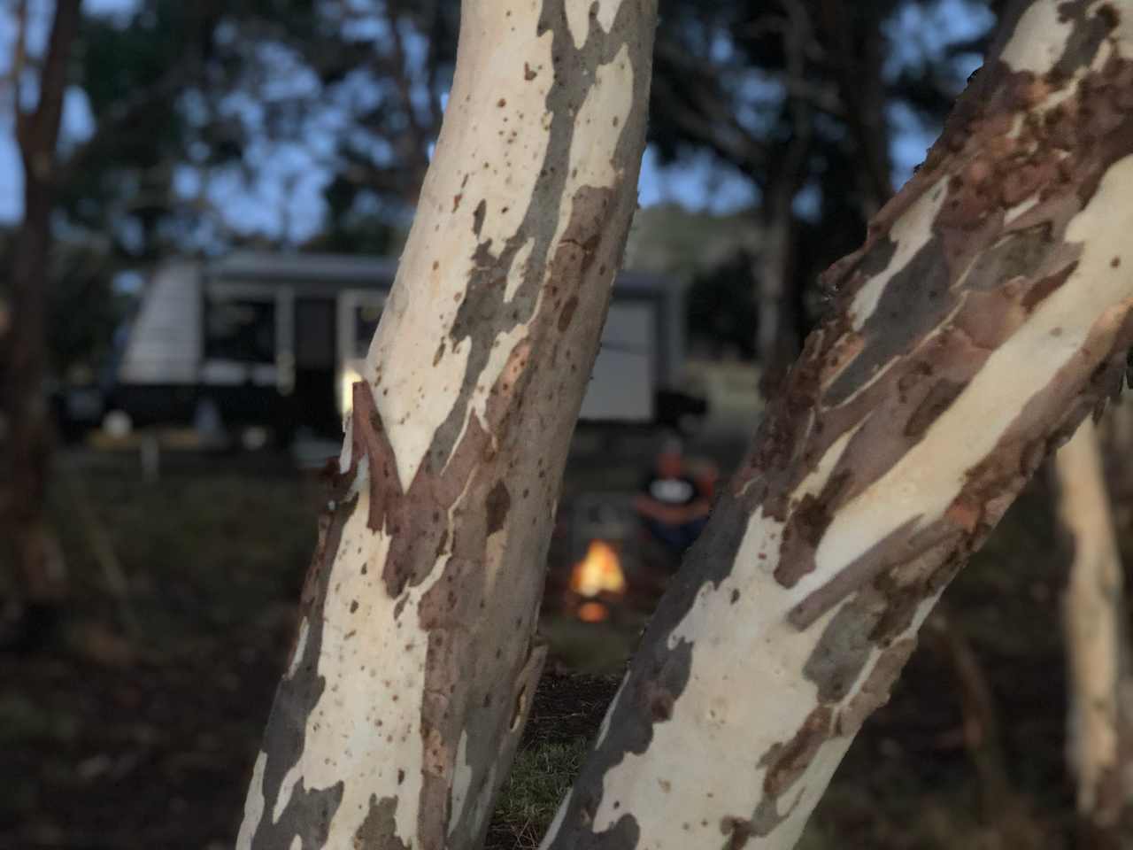 Coots Creek Campground