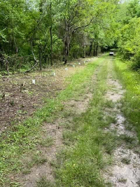 Walking trails throughout the orchard 