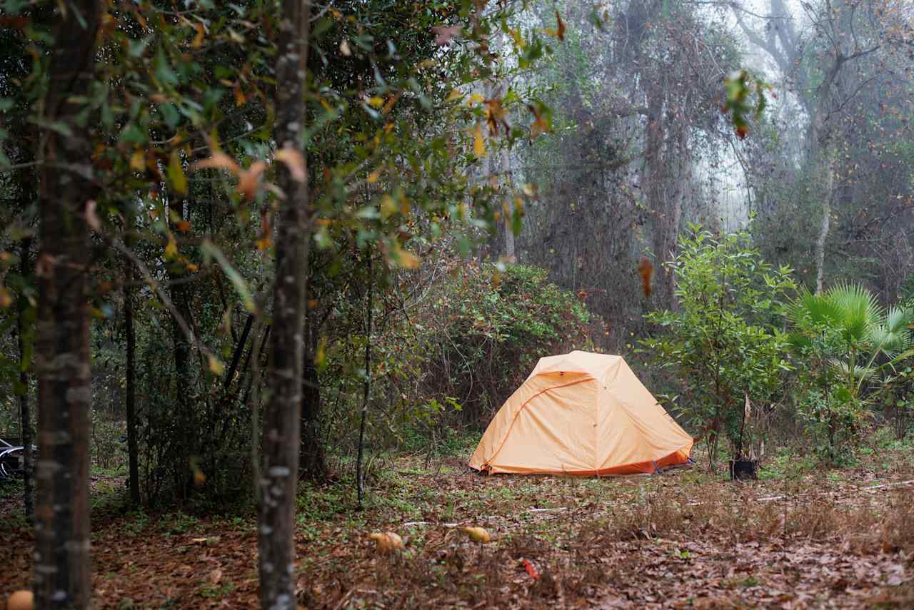 Another tent site view