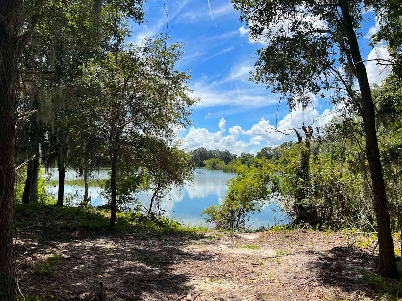 One of our gorgeous primitive camping areas!