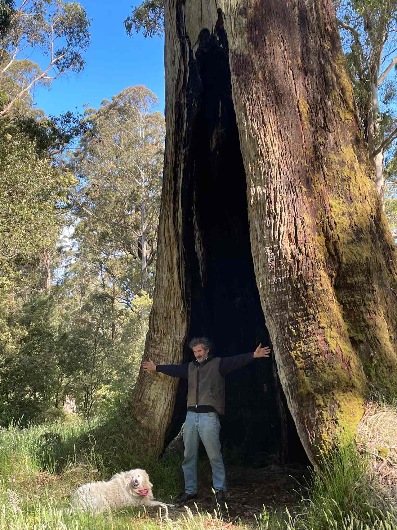 Erskine Falls Retreat