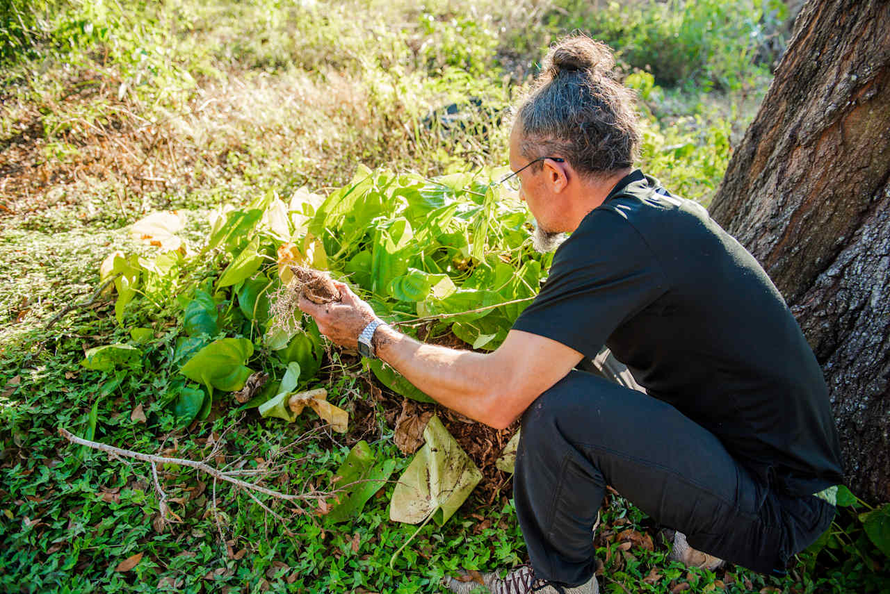 Host Keith showing us his harvest