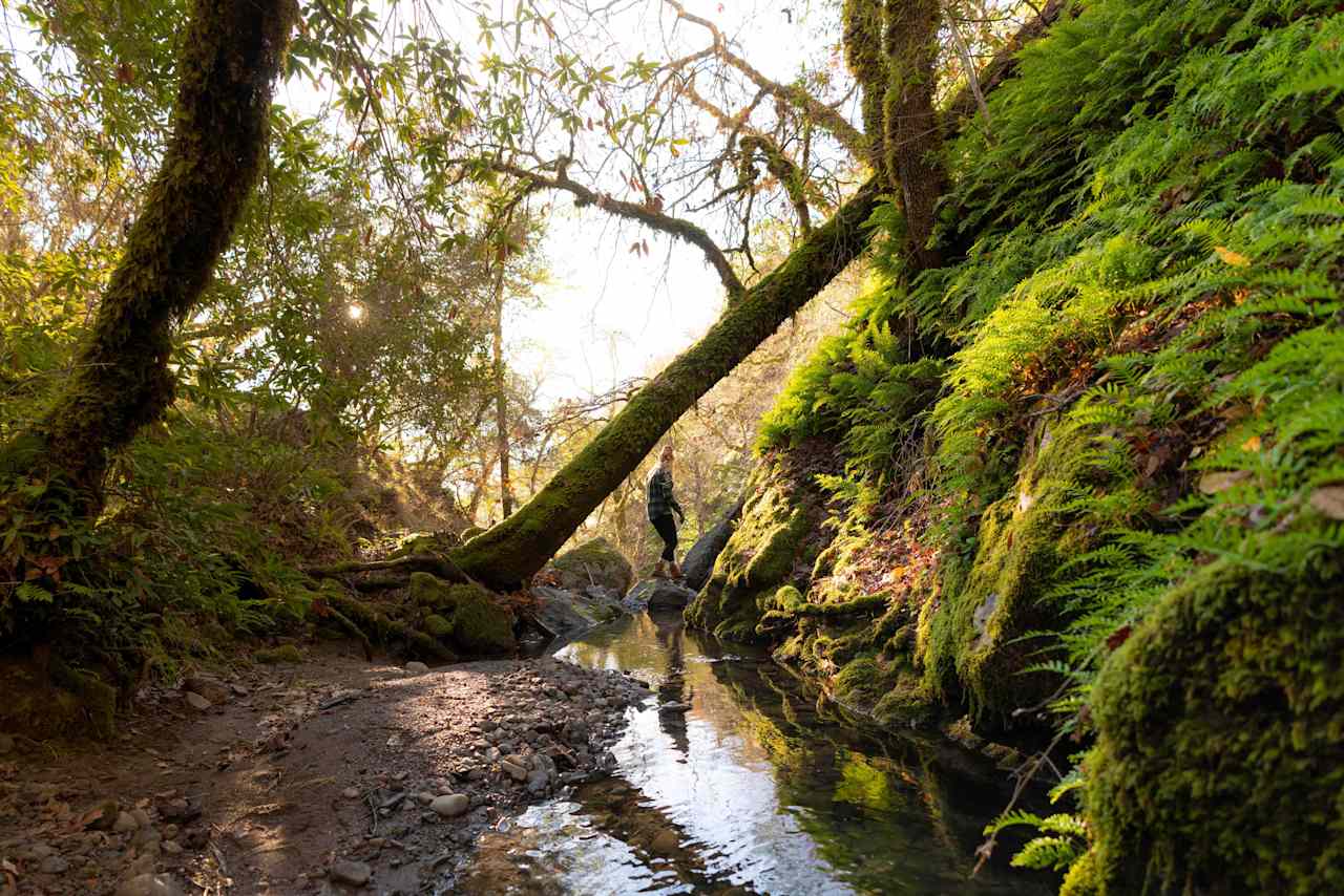 The stream on the property is beautiful 