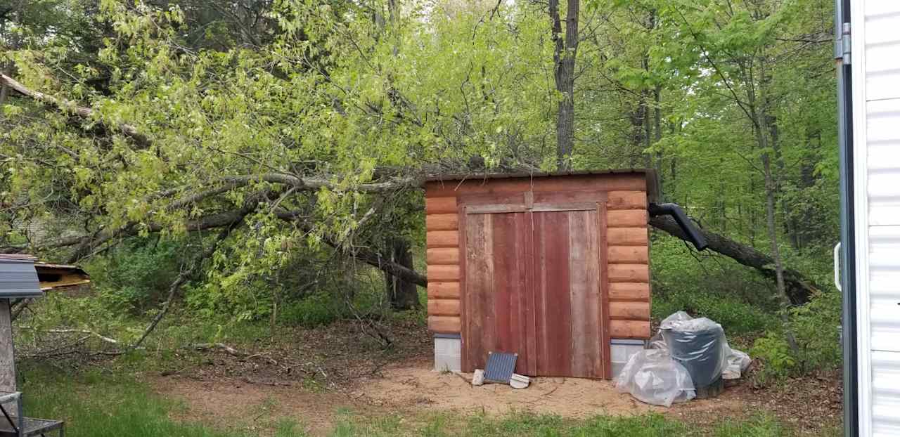 Oak tree didn't like the new sauna...