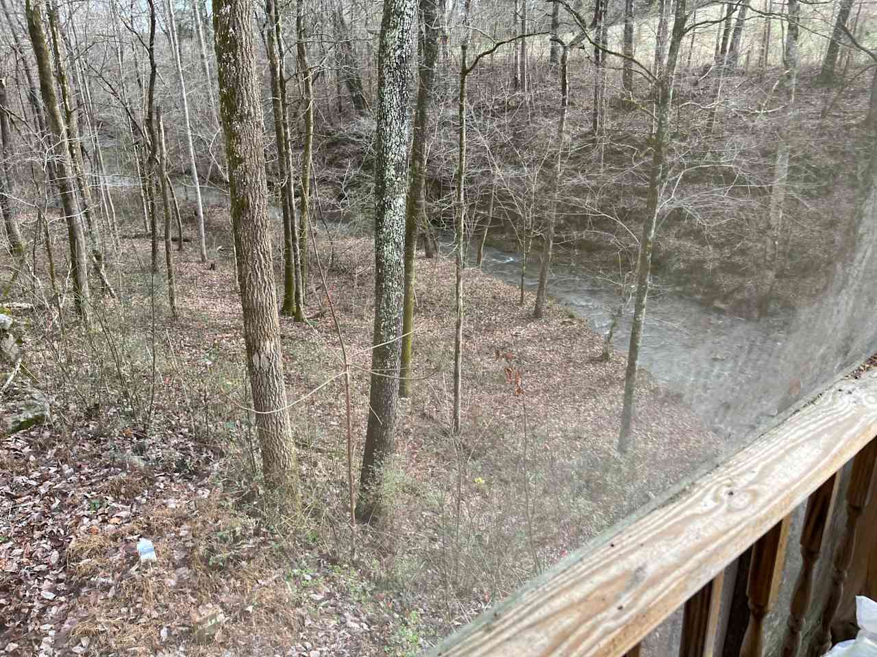 The bottom land next to the creek 