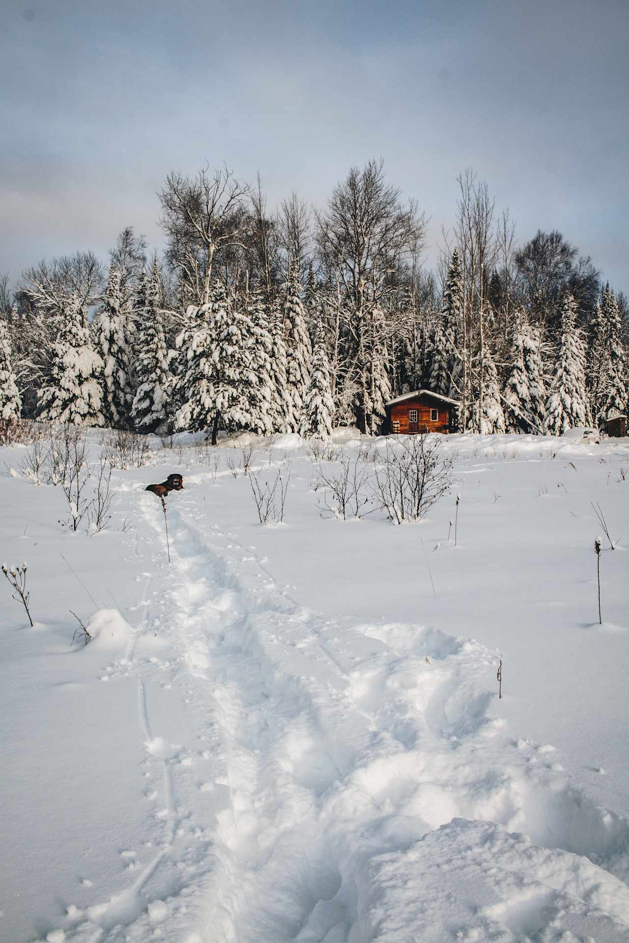 16 Squared Cabin