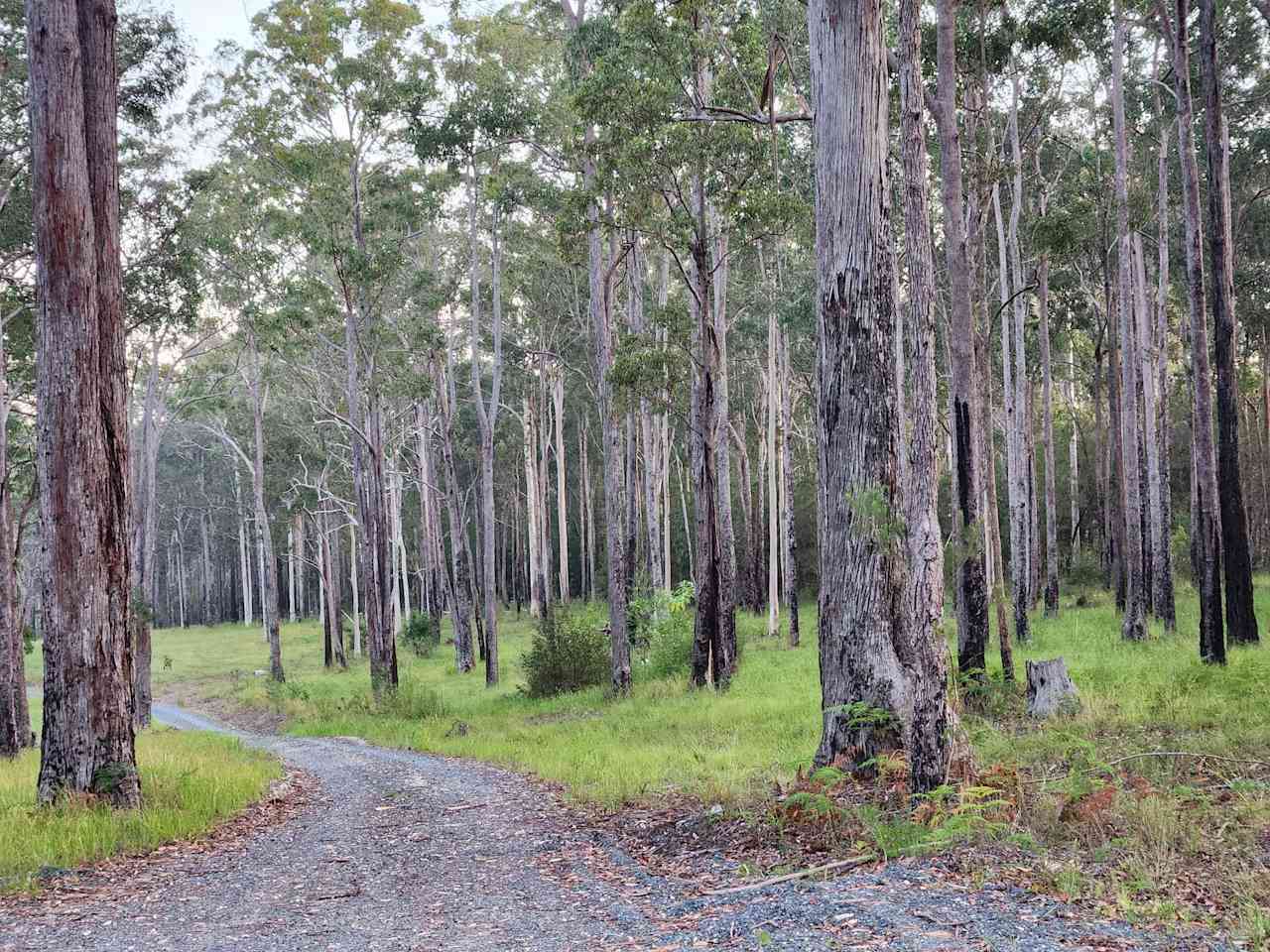 Mid-North Coast Nature Retreat