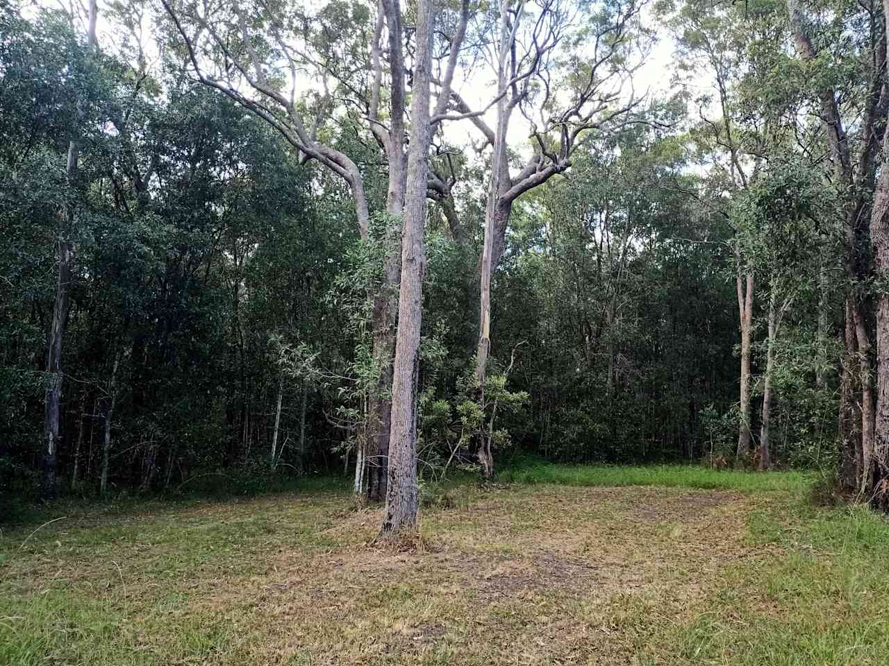 Higher Ground Coastal Bush Retreat & Permaculture