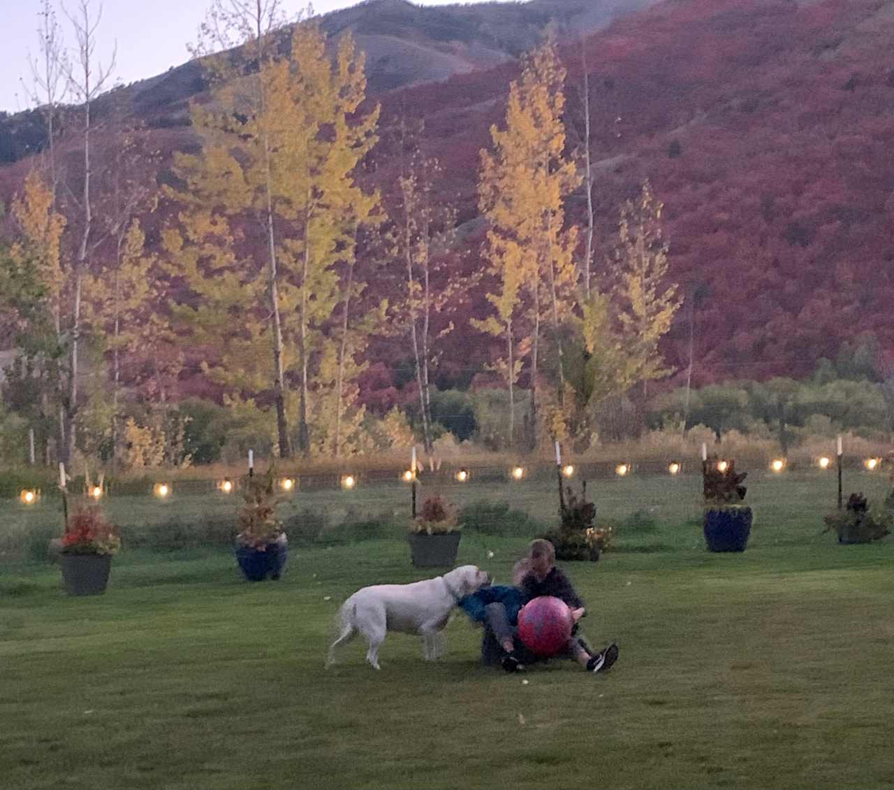 Row of potted flowers divides field where you camp and large lawn available for lawn games for a small fee.