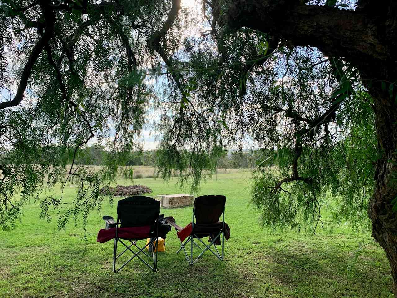 Cool shady spot under the old peppertree.