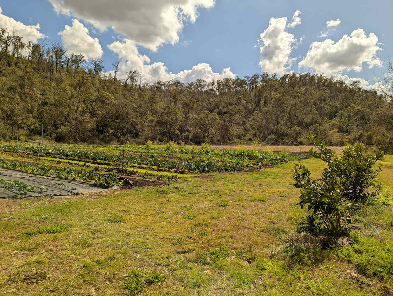 Ellia's Garden Farmstay