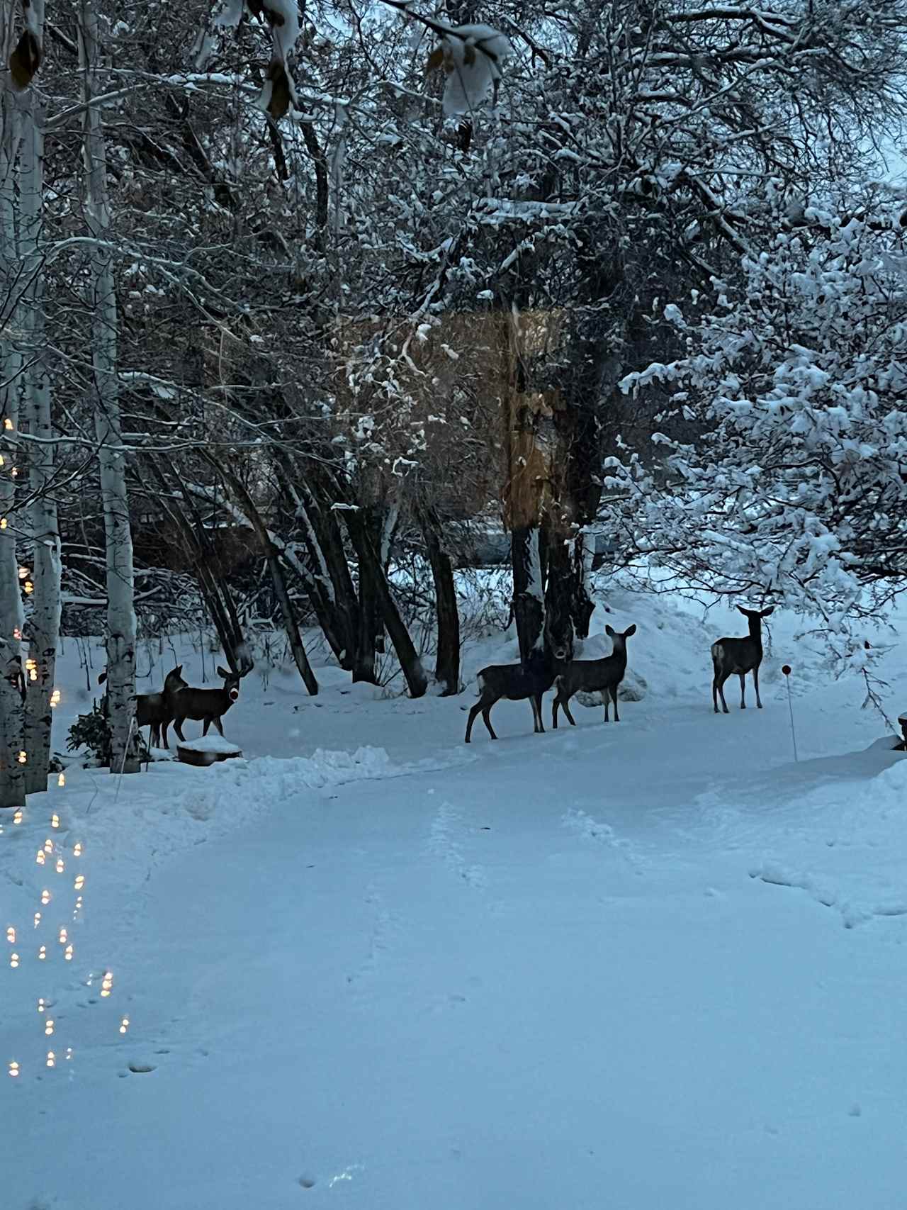 Friendly neighbors leaving field where you will camp.